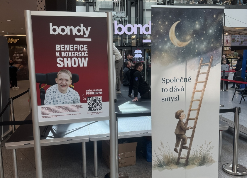 Charitativní dražba na boxerské show v Mladé Boleslavi podpořila Centrum BAZALKA